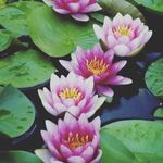 FloraPower - @flora_powerr - Instagram