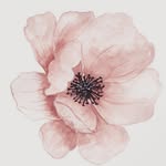@flora.reader - Instagram