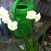 Flora Reed - Facebook