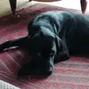 Flora 1928374655 - @flora_reid - TikTok