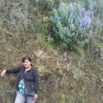 Flora Reyes Cajas - @florareyescajas - Instagram