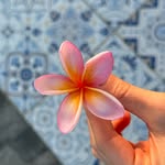 Flora - @flora_richter - Instagram