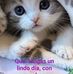 Flora Robles - Facebook