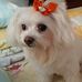Flora Rocha - Facebook
