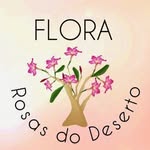 𝙵𝙻𝙾𝚁𝙰 𝚁𝙾𝚂𝙰𝚂 𝙳𝙾 𝙳𝙴𝚂𝙴𝚁𝚃𝙾-𝙿𝙴 - @florarosasdodesertope - Instagram