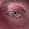 Roy Flora - @roy.flora3 - TikTok