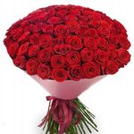 @royal_flora_holand - Instagram