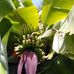 Flora Ruiz - Facebook