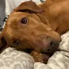 Flo  Ryder - @holly.ryder6 - TikTok