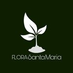Flora Santa Maria 🌴 - @florasantamaria.com.br - Instagram