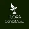 Flora Santa Maria - @florasantamaria_oficial - TikTok