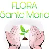 florasantamaria - @florasantamaria - TikTok