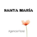 ⓢⓐⓝⓣⓐ ⓜⓐⓡⓘⓐ - @santamaria_floral - Instagram