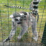 Flora Schmidt - @pink_panda_loves - Instagram