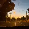 flora - @flora.shaw49 - TikTok