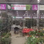 Flora Silva - @florasilva.atibaia - Instagram
