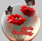 Flora Singh - Facebook