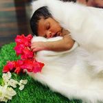 Suman Yadav - @flora_singh_yadav27 - Instagram