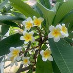 @flora_small_ - Instagram