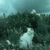 FLORA SNOW - @florasnow3 - TikTok