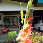 Flora Solis - @florasolis759 - Instagram