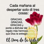 Flora Sosa - @florasosa69 - Instagram