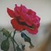 Flora Sowell - Facebook