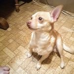 Flora Spencer - @flora.spencer.94695 - Instagram
