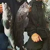 GabyAnnwNwcy - @floraspencersjk_p - TikTok