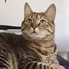 flora - @flora_stark - TikTok