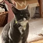 Flo Stear - Facebook
