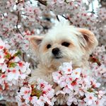 FloraStefanou - @florastefanou22 - Instagram