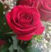 Flora Stern - Facebook