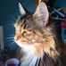 Flora Beth Stevenson - Facebook
