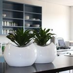 Terrells floral pots - @terrellsfloralpot - Instagram