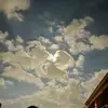 Flora Tovar - @flora_t4 - TikTok