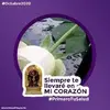 Mariaflor - @tovarflora - TikTok