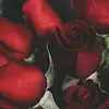 FloraTracyA - @floratracya - TikTok