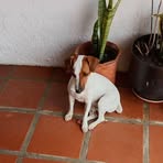 Flora Vasquez - Facebook