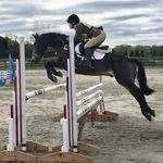 Flora Webb - @florawebbeventing - Instagram