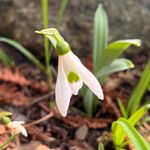 Flora - @florainthewilderness - Instagram