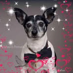 Flora Yarnall - Facebook