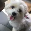 Alex Florence - @.alexflorence - TikTok