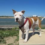 Florence André - @florenceandre165 - Instagram