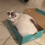 Florence André - @florenceandre5 - Instagram