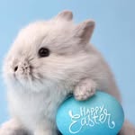 Florence Barras - @florence.barras.925 - Instagram