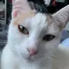 Florence Barre - @florencebarre - TikTok