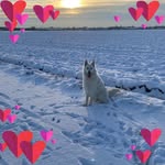 Florence Bauer - @bauer.florence67 - Instagram