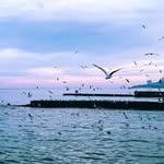 Florence Bauer - @florencebauer76 - Instagram