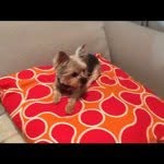 Florence Baylor - @florencebaylor - Instagram